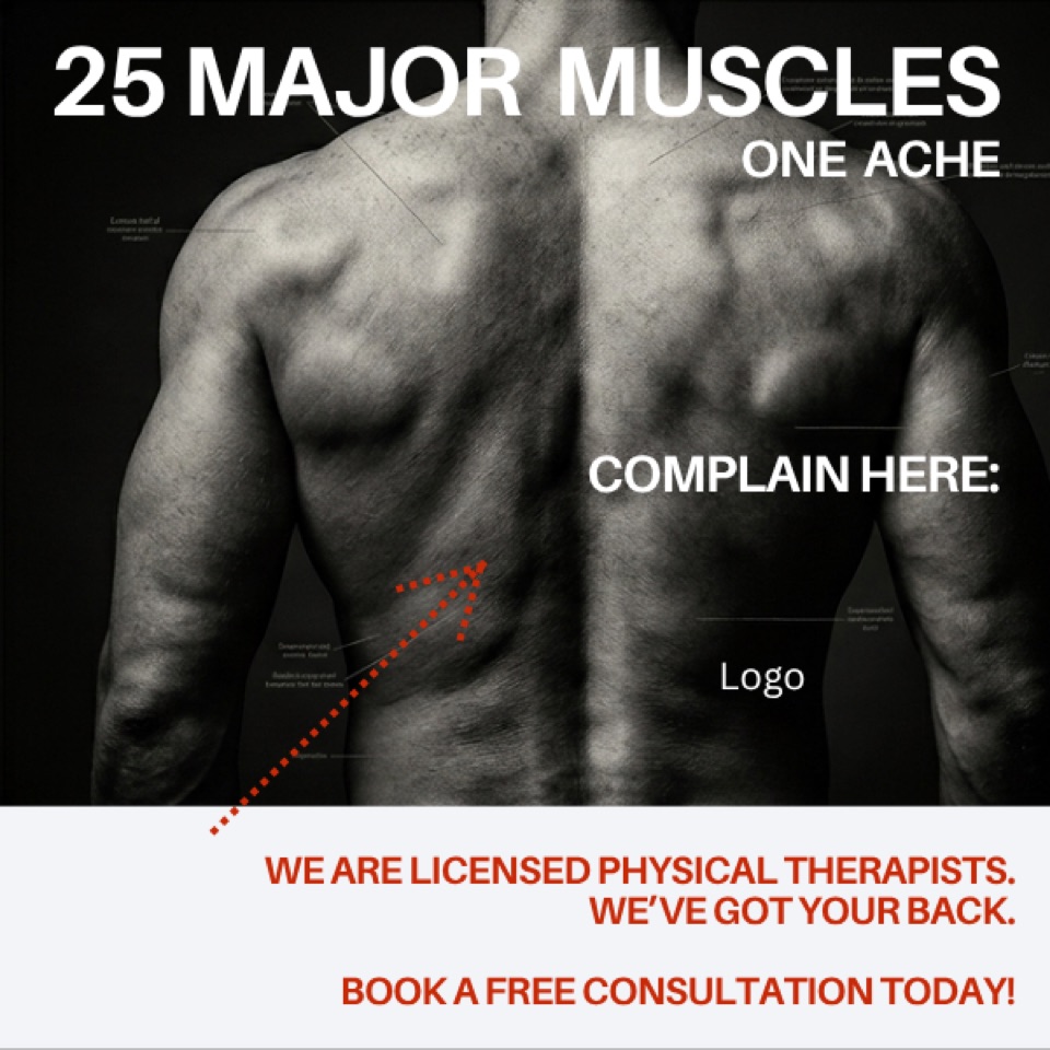 Physical Therapy ad — “25 Major Muscles. One Ache.”