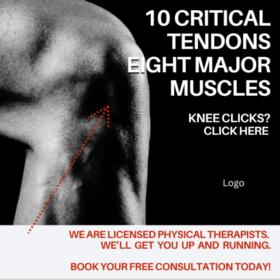 Physical Therapy ad — “Knee Clicks? Click Here.”